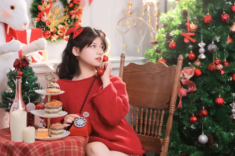 리스차담보대출 리스기간