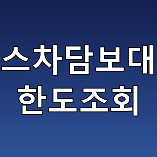 리스차담보대출 한도조회 꿀팁: 최대한도 알아보는 방법