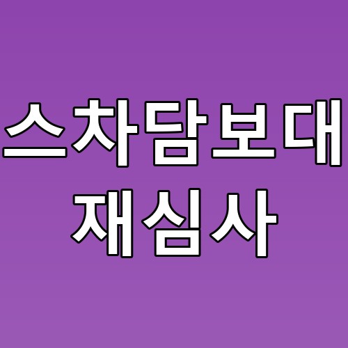 리스차담보대출 재심사, 꿀팁과 주의사항 안내